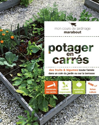 Potager en carrés : des fruits & légumes toute l'année dans un coin du jardin ou sur la terrasse