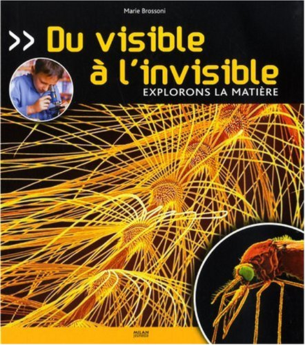 Du visible à l'invisible : explorons la matière