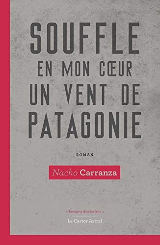 Souffle en mon coeur un vent de Patagonie : un curriculum vitae imaginaire