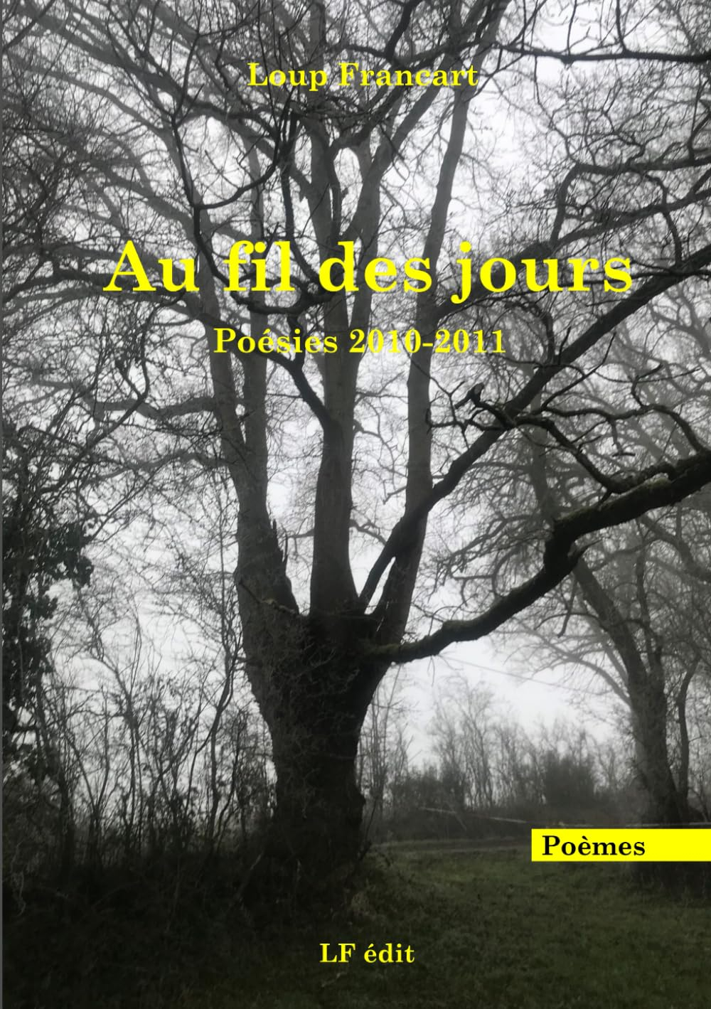 Au fil des jours: Poésies 2010-2011