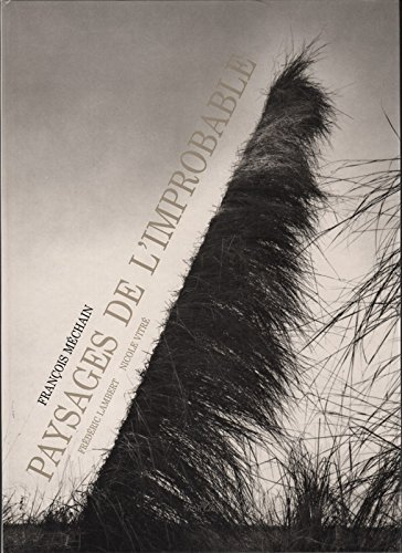 Paysages de l'improbable. Landscapeçof the improbable : François Méchain