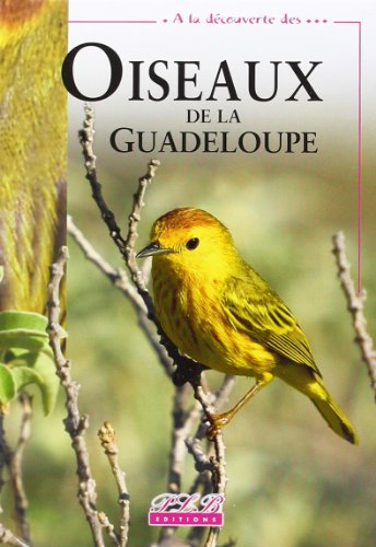 oiseaux de la guadeloupe