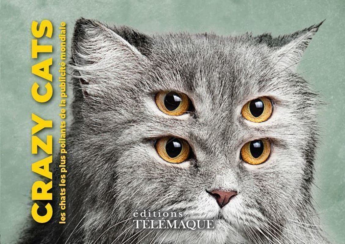 Crazy cats : les chats les plus poilants de la publicité mondiale
