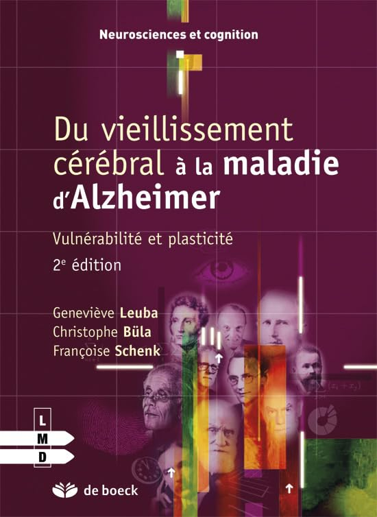 Du vieillissement cérébral à la maladie d'Alzheimer : vulnérabilité et plasticité