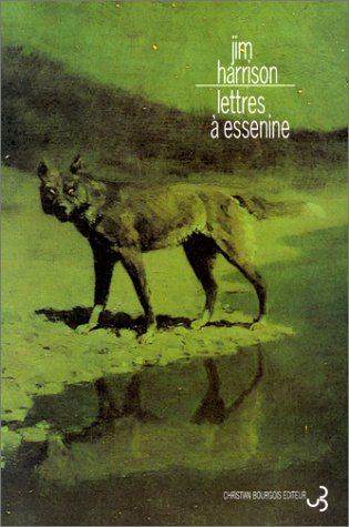 Lettres à Essenine
