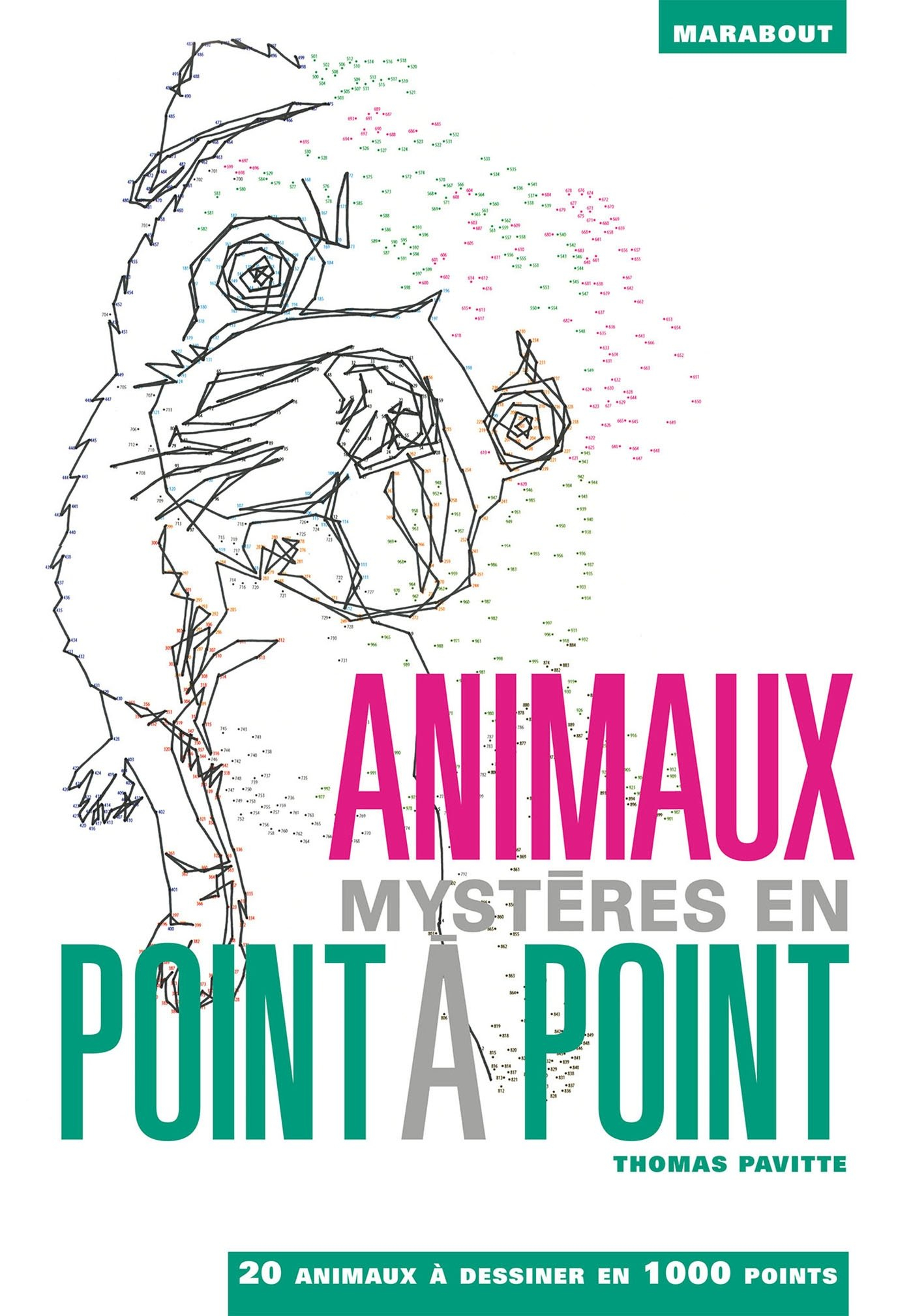 Animaux mystères en point à point : 20 animaux à dessiner en 1.000 points