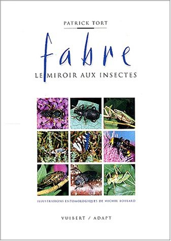 Fabre, le miroir aux insectes