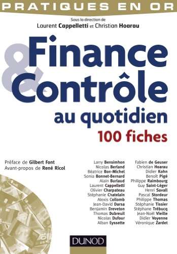 Finance et contrôle au quotidien : 100 fiches