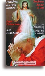 Providence dans l'ordre surnaturel, tendresse du coeur de Dieu : D'après l'Écriture sainte (Collecti