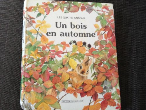 Un bois en automne