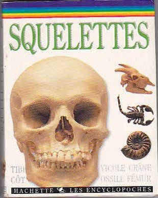 Squelettes