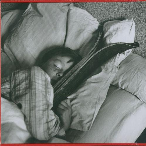 Les Alpes de Doisneau