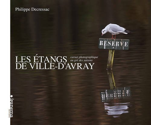 Les étangs de Ville d'Avray : carnet photographique au gré des saisons