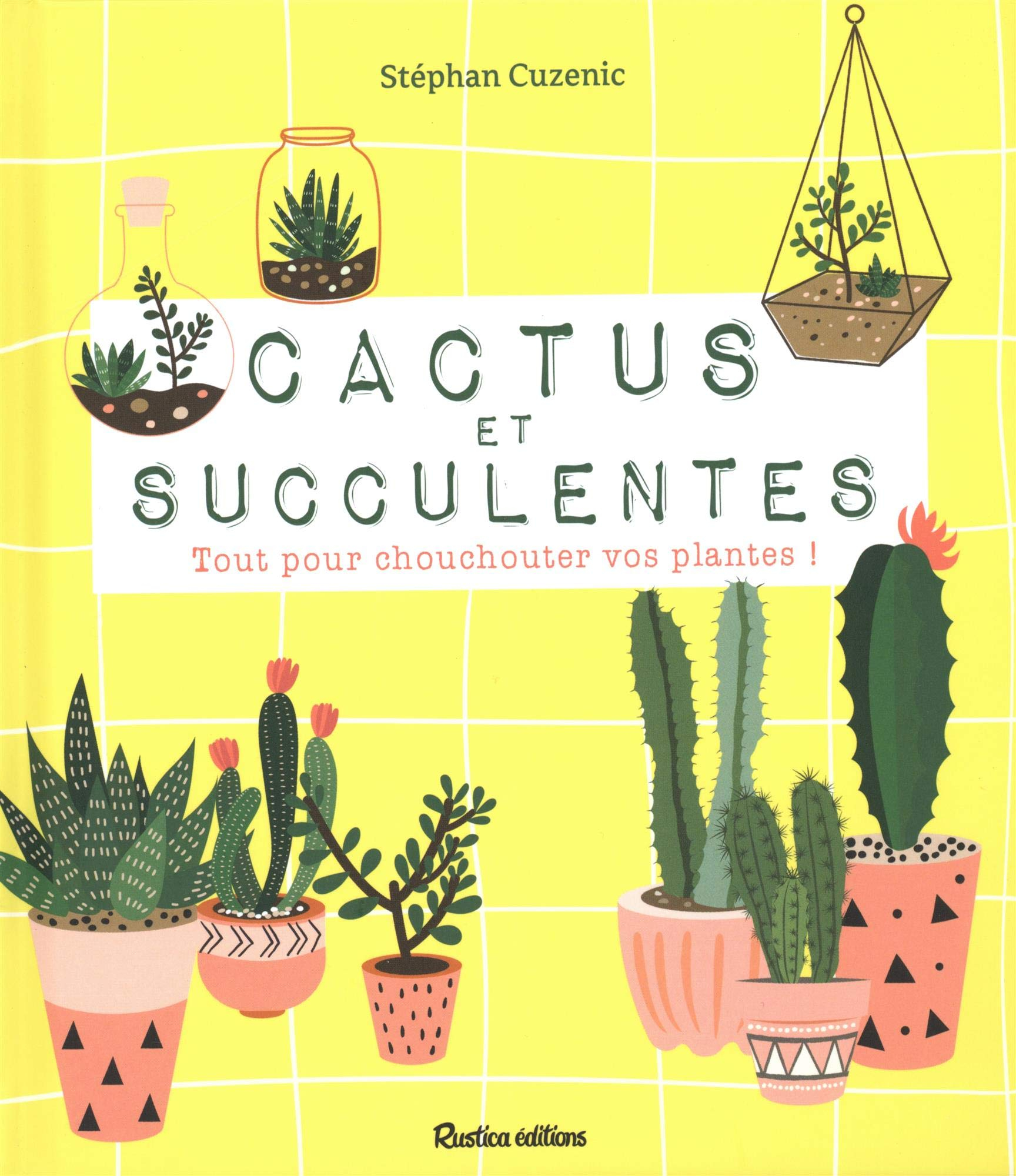 Cactus et succulentes : tout pour chouchouter vos plantes !