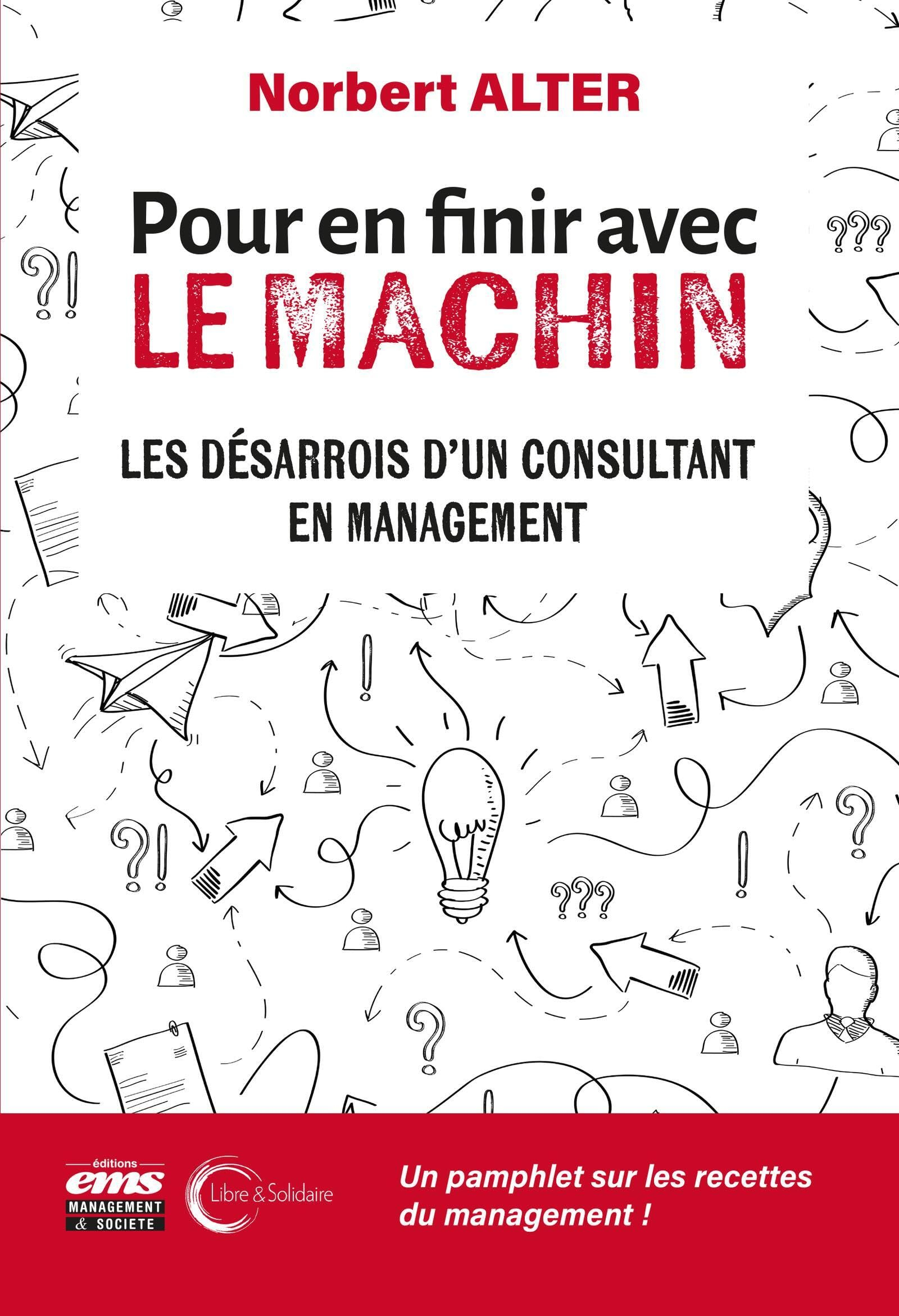 Pour en finir avec le machin : les désarrois d'un consultant en management