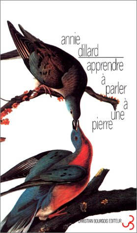 apprendre à parler à une pierre