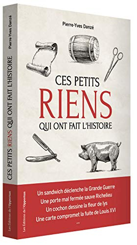 Ces petits riens qui ont fait l'histoire de France : hasards, coïncidences et malchances de Jules Cé