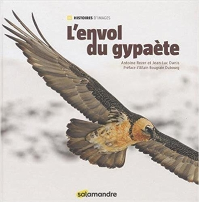 L'envol du gypaète