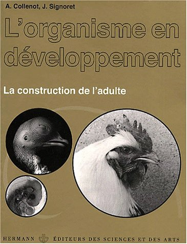 Le dodécalogue : ou comment Lucy est-elle devenue religieuse ?