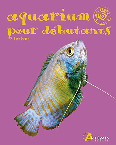 Aquarium pour débutants