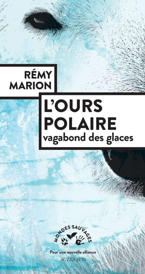 L'ours polaire : vagabond des glaces