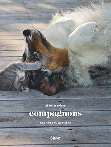 Compagnons : chats et chiens, nos héros du quotidien