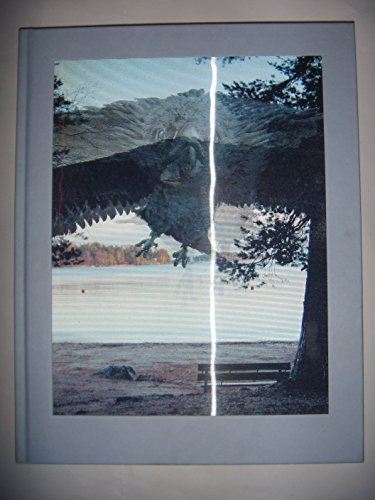 Eija-Liisa Ahtila Mondes Parallèles