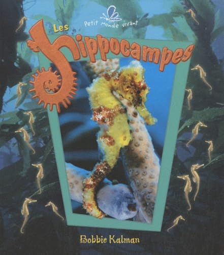 Les hippocampes