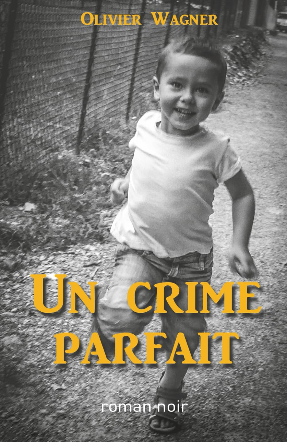 Un crime parfait