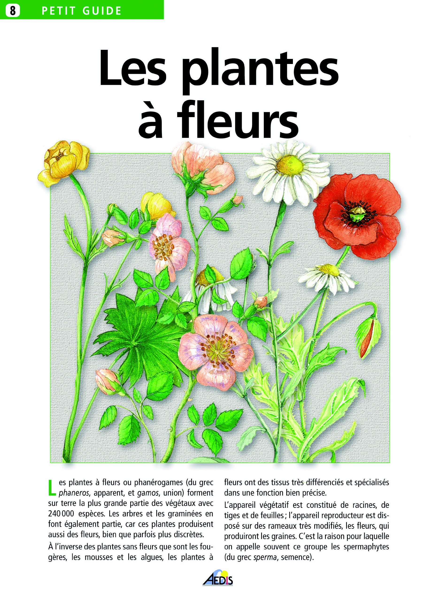 Les plantes à fleurs