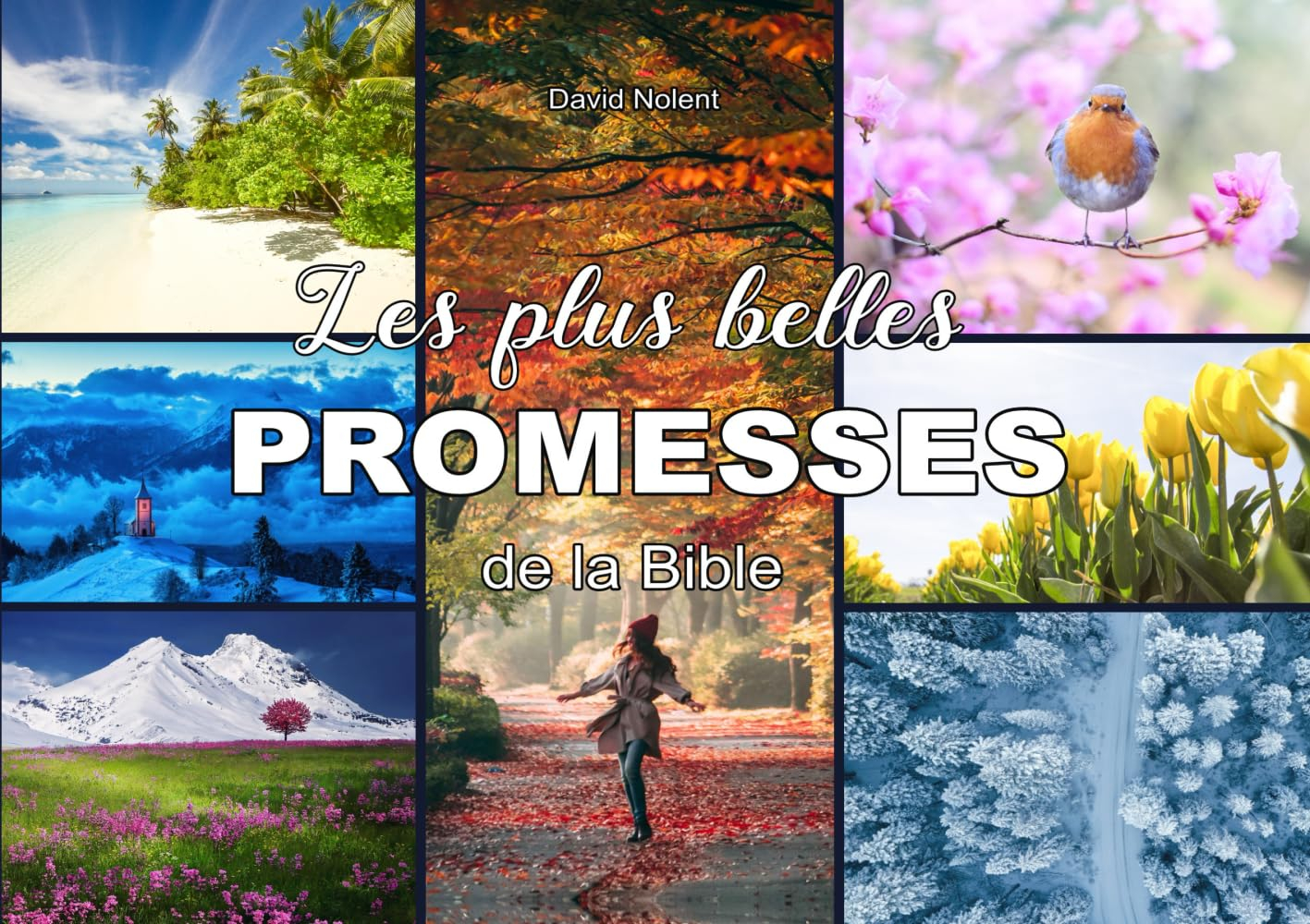Les plus belles promesses de la Bible