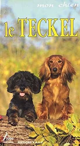 mon chien : le teckel