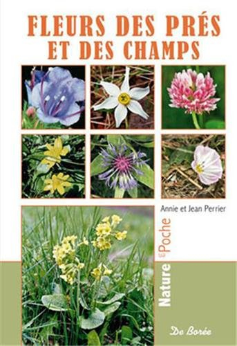 Fleurs des prés et des champs