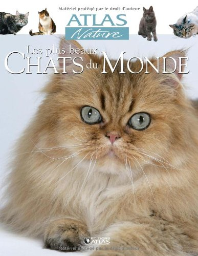 Les plus beaux chats du monde