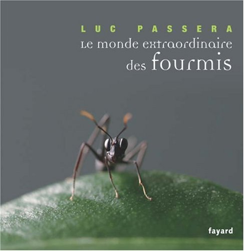 Le monde extraordinaire des fourmis