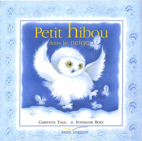 Petit hibou dans la neige