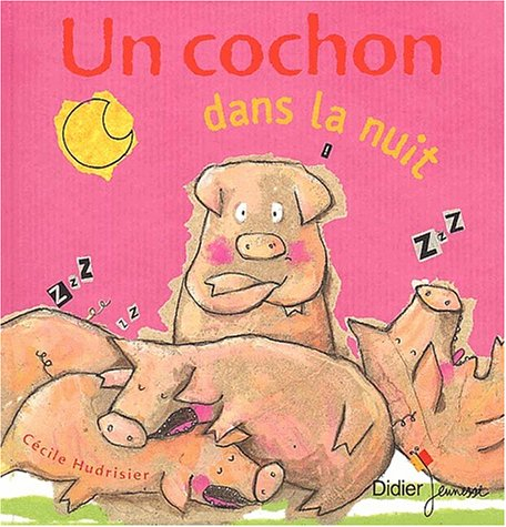 Un cochon dans la nuit