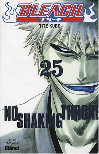 Bleach. Vol. 25. No shaking throne