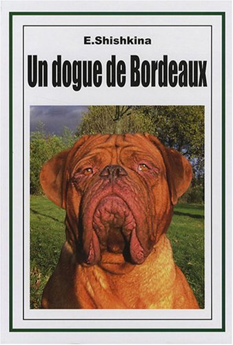 Un dogue de Bordeaux