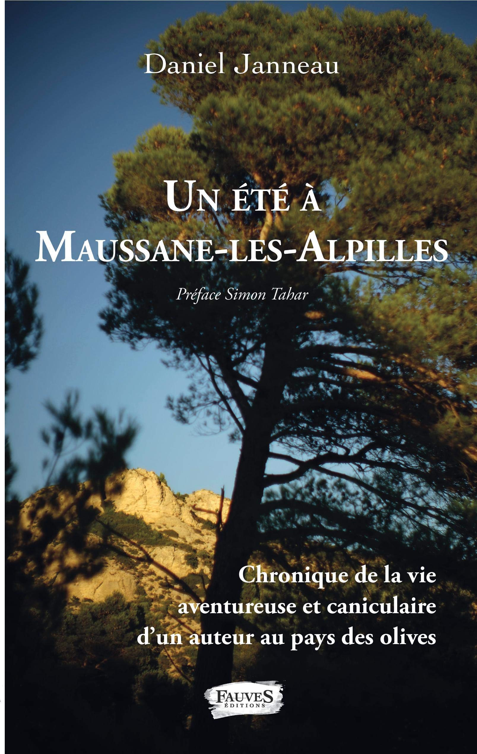 Un été à Maussane-les-Alpilles : chronique de la vie aventureuse et caniculaire d'un auteur au pays 