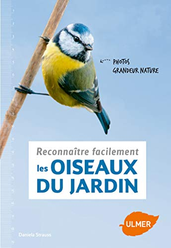 Reconnaître facilement les oiseaux du jardin : photos grandeur nature