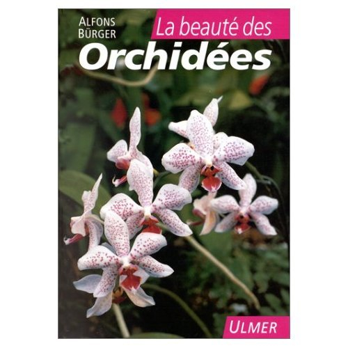 La beauté des orchidées