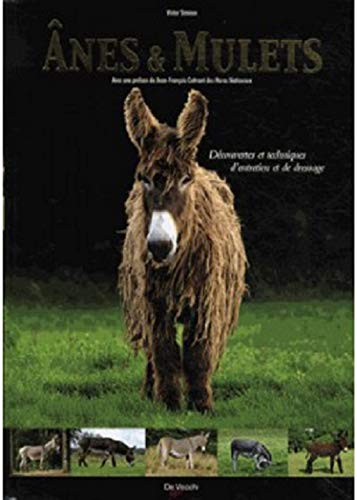 Anes et mulets : découvertes et techniques d'entretien et de dressage