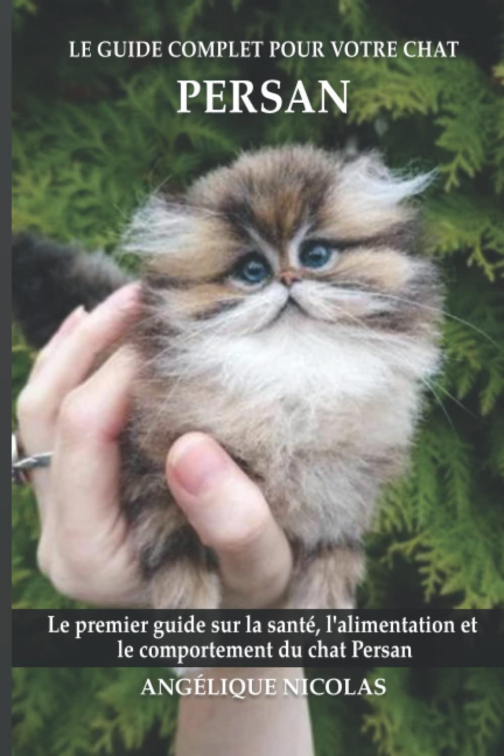 Le guide complet pour votre chat Persan: Le premier guide sur la santé, la nutrition et le comportem
