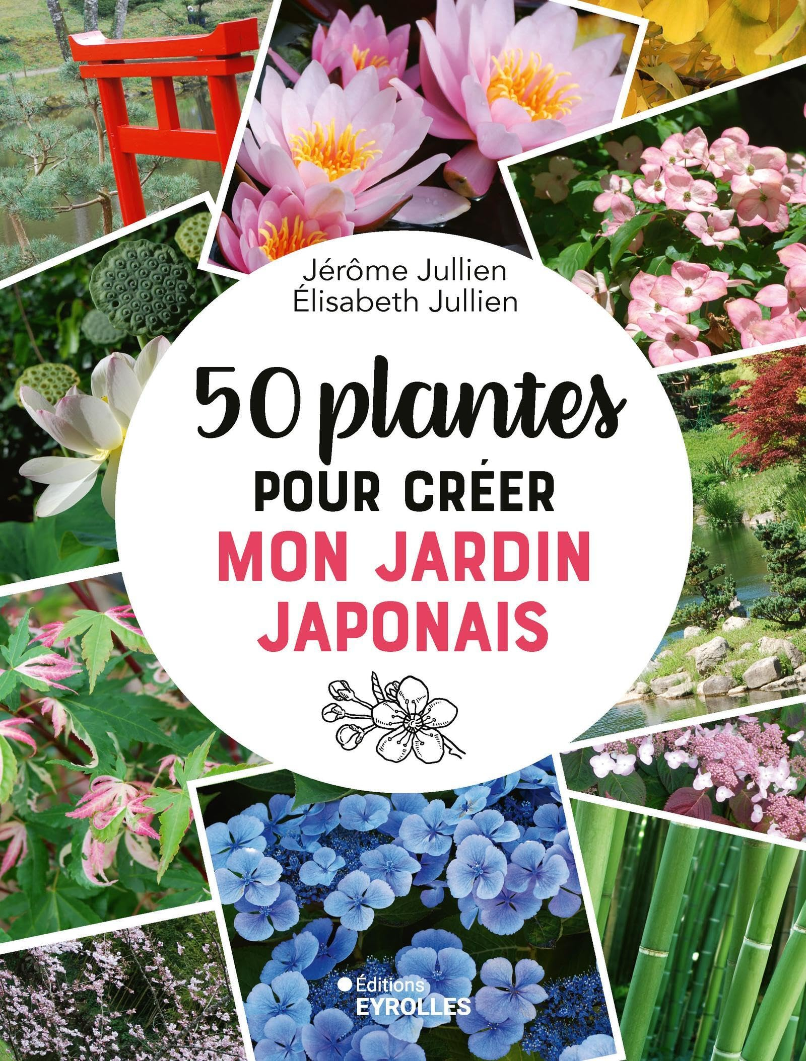 50 plantes pour créer mon jardin japonais