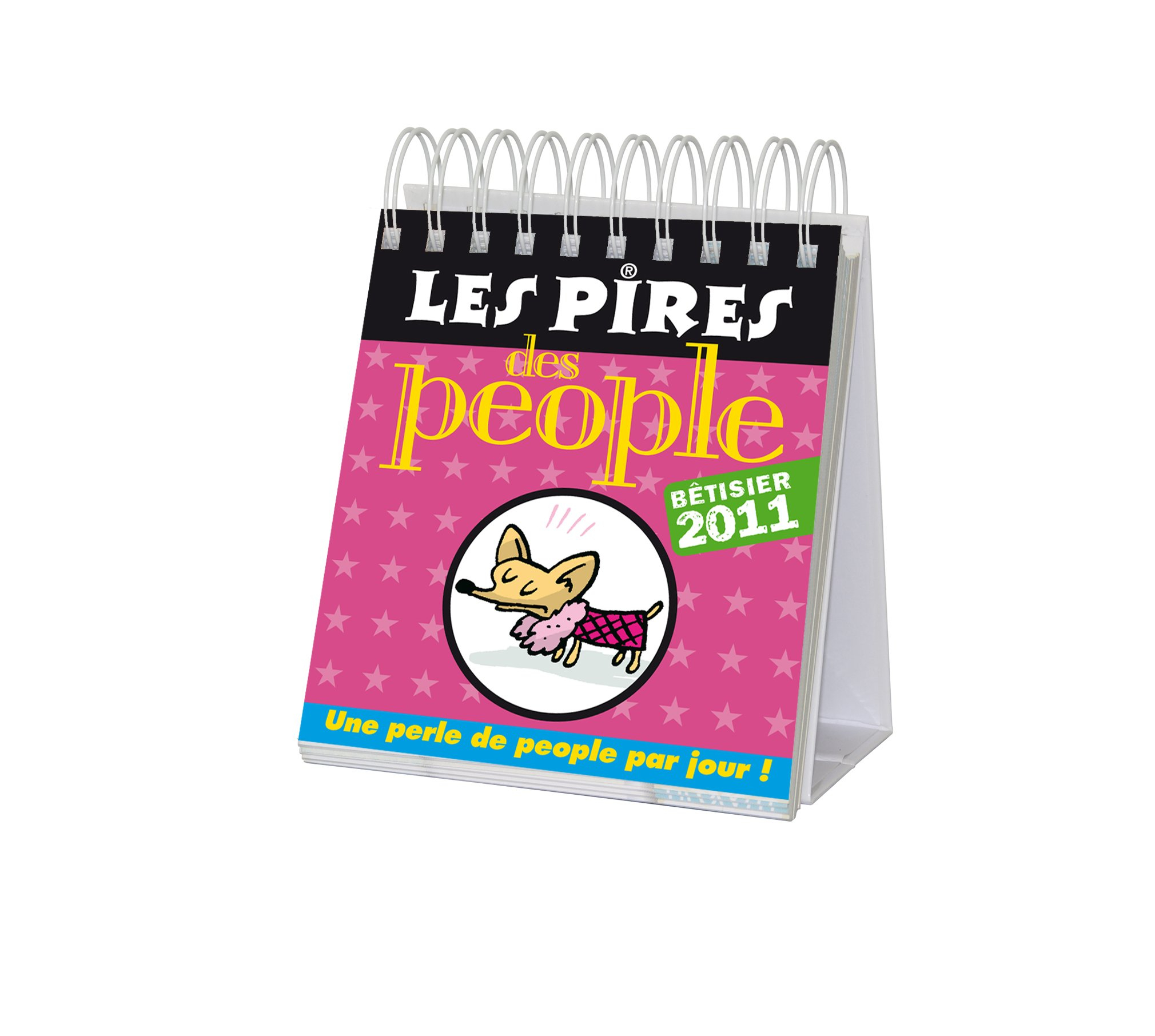Les pires des people : bêtisier 2011 : une perle de people par jour