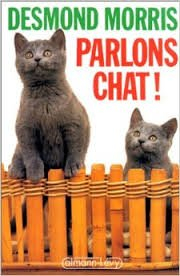 Parlons chat !