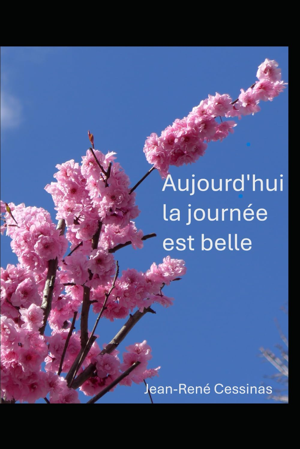 Aujourd'hui, la journée est belle