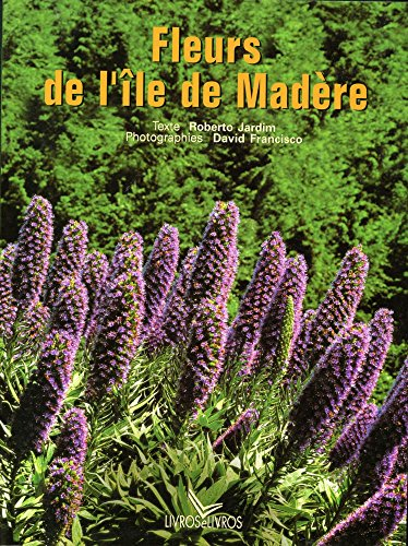 fleurs de l'île de madère