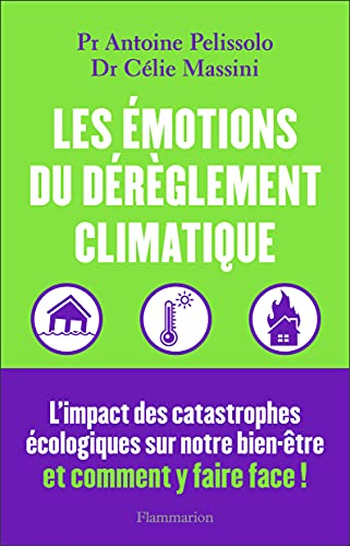 Les émotions du dérèglement climatique : canicules, inondations, pollution... : l'impact des catastr